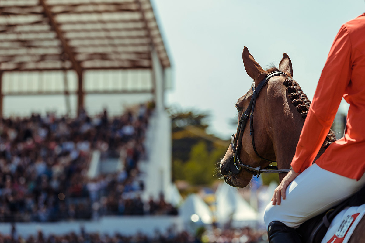 banniere equietudes