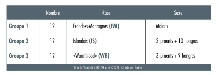 Tableau des chevaux étudiés, à savoir 12 étalons franche-montagne (FM), 2 jument et 10 hongres islandais (IS) et 3 juments et 9 hongres Warmblood (WB)
