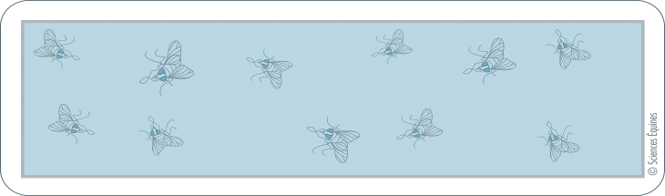 dessin d'une bande de papier sur laquelle sont collées des mouches prises au piège.