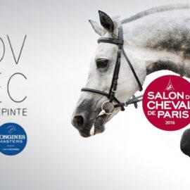 Salon du cheval 2016 à Paris