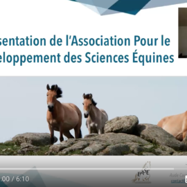 Présentation vidéo aux journées EASE