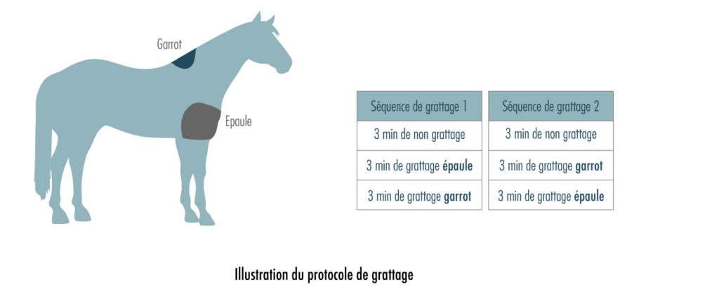 illustration résultats feh