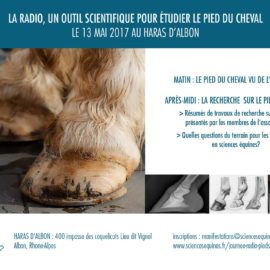 [Compte-rendu] Journée pieds, mai 2017