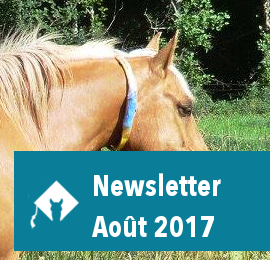 Newsletter Août 2017