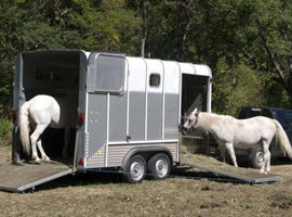 [Résumé] Effets de l’orientation pendant le transport sur le cheval – Padalino et al., 2012