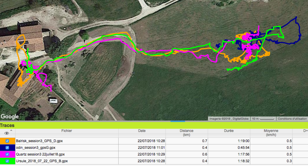 GPS chevaux