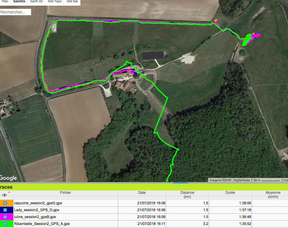 tracé GPS cheval