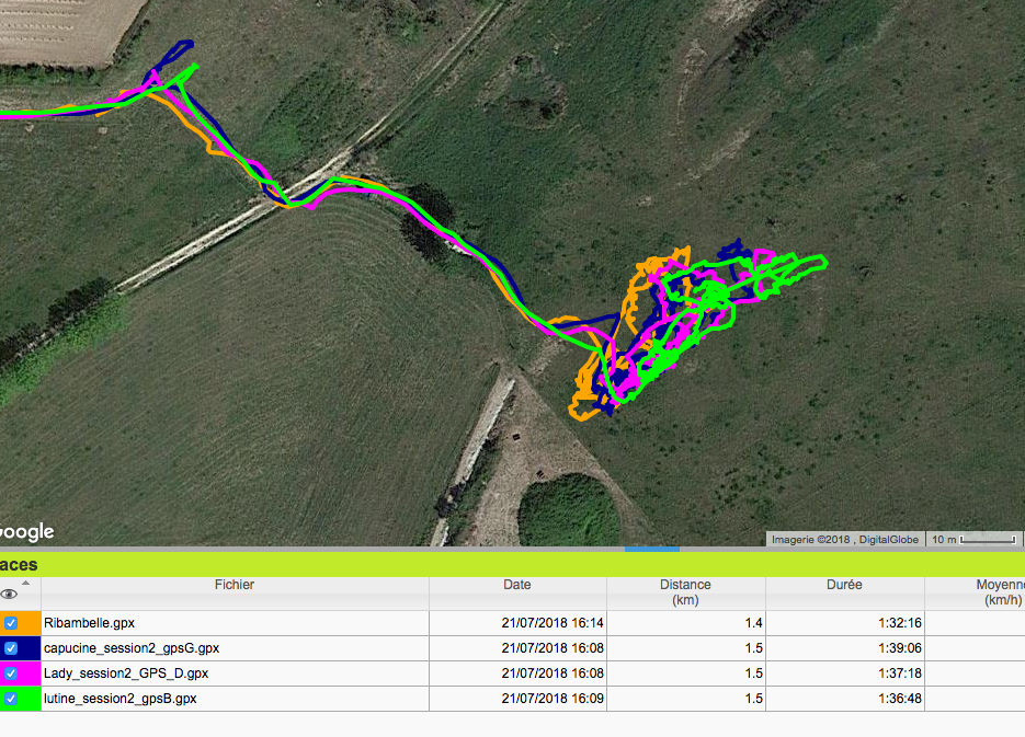 tracé gps cheval