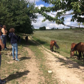 Analyser les traces du signal GPS (1)