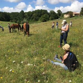 [Éthologie] WE Observations et mesures GPS