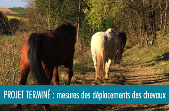 projet gps