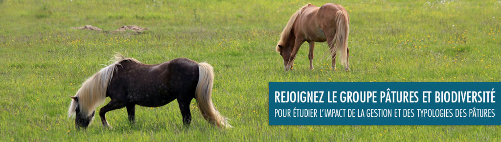 groupe pâture et biodiversité