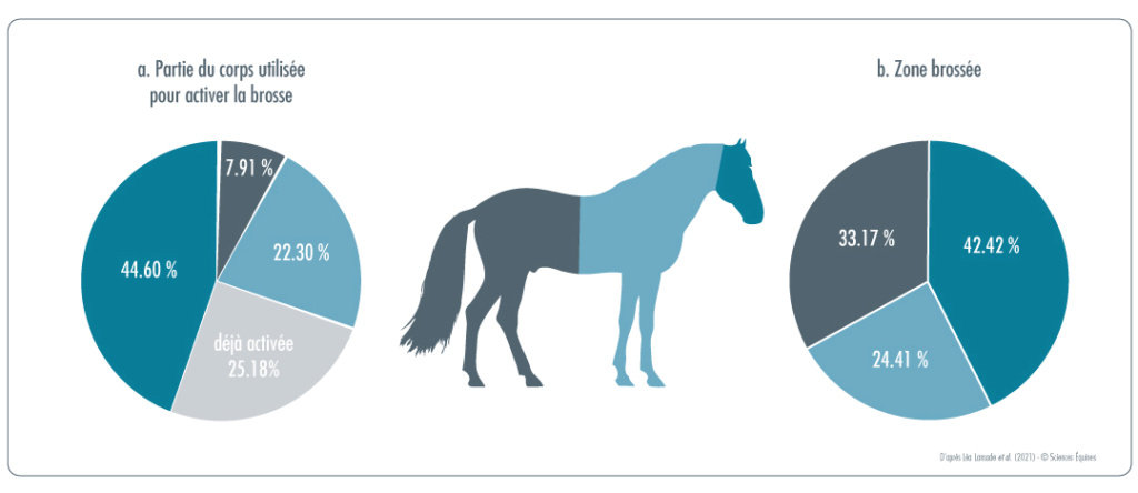 En figure a, 7,91%  des chevaux utilisent leur arrière - main pour activer la brosse; 22,30% utilisent leur avant-main; 44,6 % utilisent leur tête et 25,18% sont venus sur la brosse déjà activée par un congénère avant eux. En Figure b, 24,41% des chevaux brossent leur avant-main, 33,17% leur arrière-main et 42,42% leur tête.