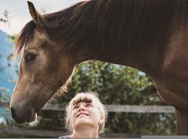 [Résumé]Intérêt envers les humains : comparaisons entre chevaux d’enseignement et de médiation – Lerch et al., 2021