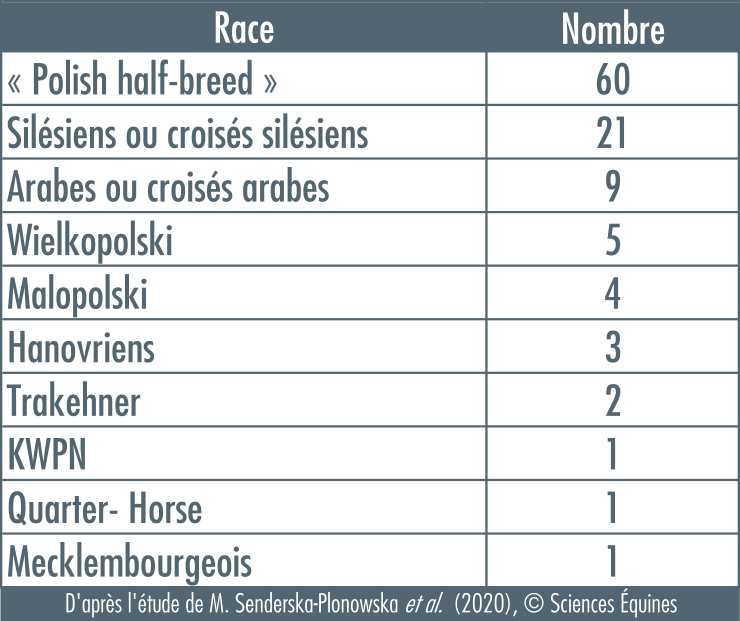 Le tableau 1 présente le nombre de chevaux par race. Polishhalf-breed 60, Silésiens ou croisés silésiens 21, Arabes ou croisés arabe 9, Wielkopolski 5, Malopolski 4, Hanovriens 3, Trakehner 2, KWPN 1, Quarter-Horse 1, Mecklembourgeois 1.