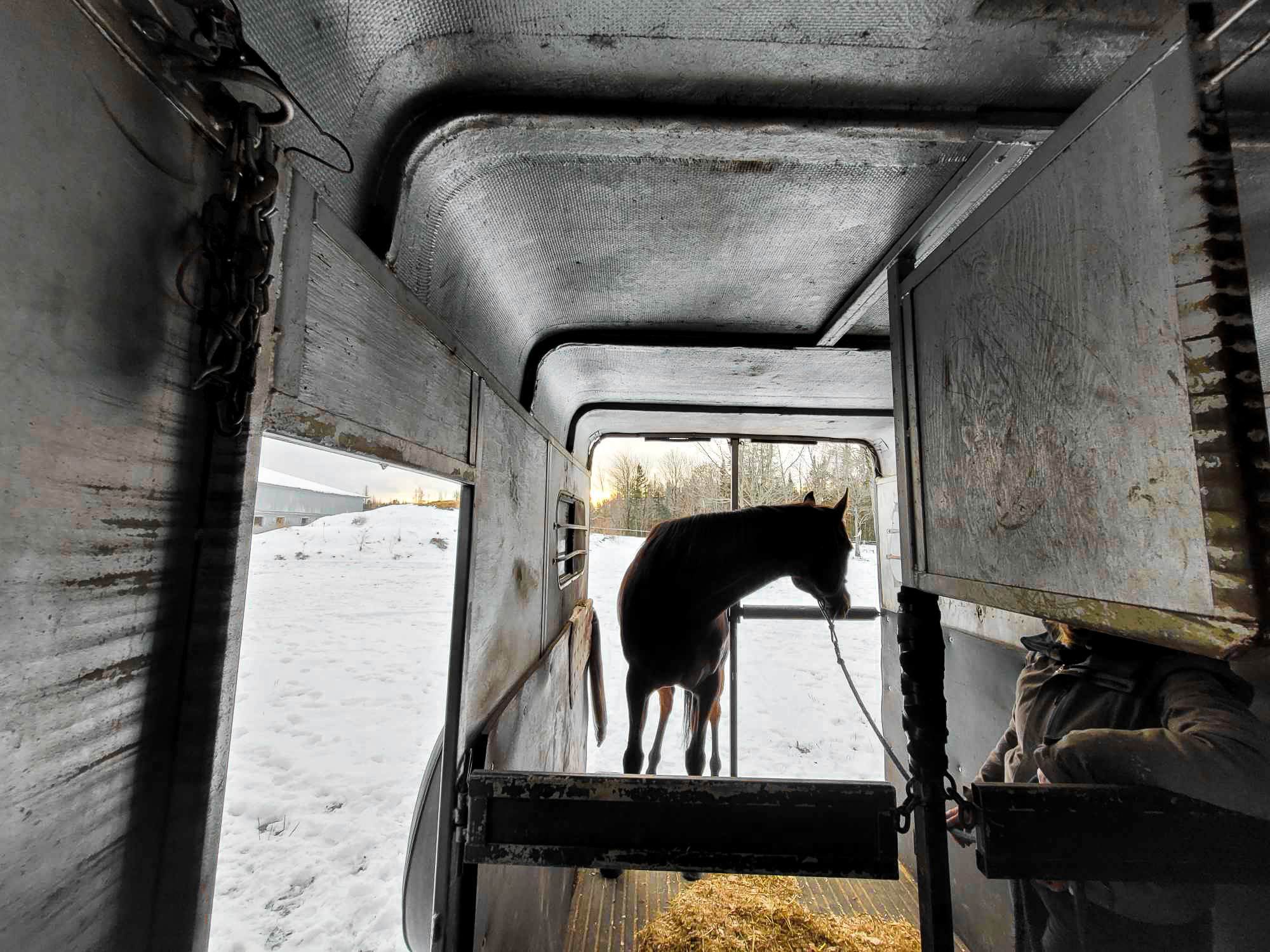 [Résumé] L’utilisation d’un miroir réduit le stress d’isolement des chevaux durant leur transport − Kay & Hall, 2009