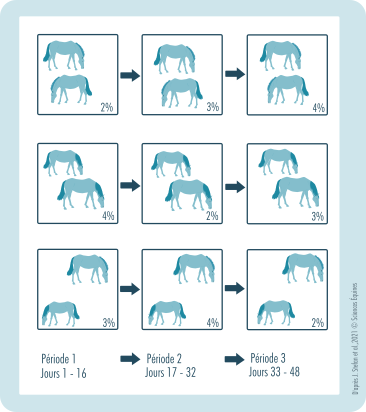 Figure illustrant la rotation des chevaux sur les différentes parcelles. Durant la période 1 (jours 1 à 16), un binôme de chevaux pâture sur une parcelle offrant 2 % de leur poids en herbe, un autre sur une parcelle à 4 % et le dernier sur une parcelle à 3 %. Au cours de la période 2 (jours 17-32), les binômes changent d’offre fourragère. De même lors de la période 3 (jours 33-48). A terme, chaque binôme aura pâturé 16 jours sur chaque offre fourragère.