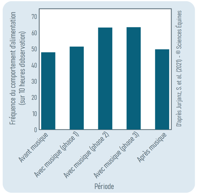 La fréquence du comportement d’ingestion évolue ainsi au cours des cinq périodes de 10 heures (p = 0,003) :
« avant musique » : 48,00 fois
phase 1 : 51,50 fois
phase 2 : 63,34 fois
phase 3 : 63,58 fois
« après musique » : 49,83 fois.